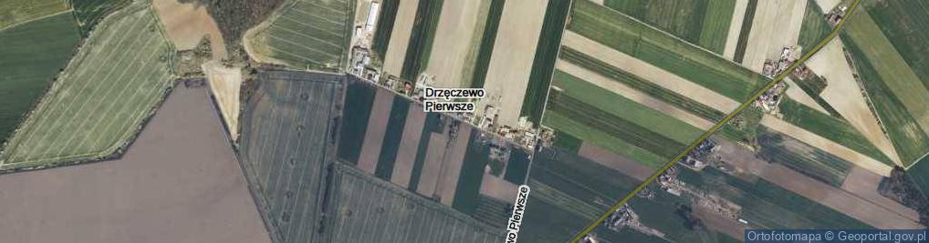 Zdjęcie satelitarne Drzęczewo Pierwsze ul.